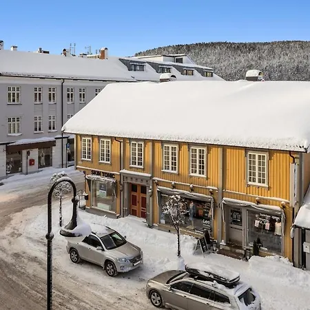 Apartment 4 Bedroom Penthouse Appartment, Right On The Mainstreet Kongsberg