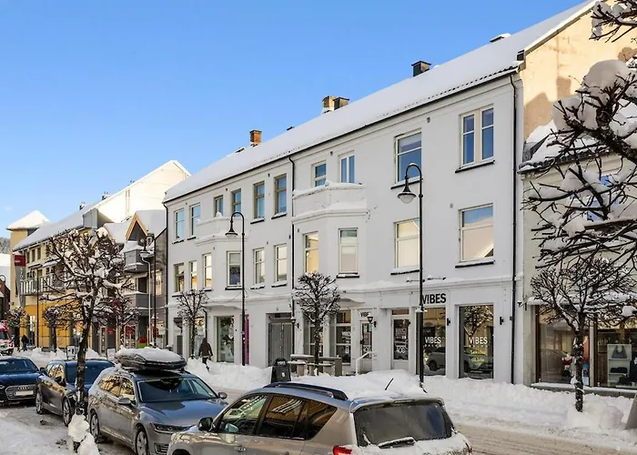 4 Bedroom Penthouse Appartment, Right On The Mainstreet Kongsberg