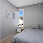 Apartment 4 Bedroom Penthouse Appartment, Right On The Mainstreet Kongsberg