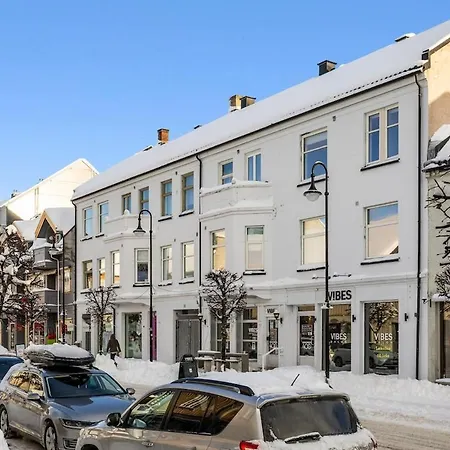 4 Bedroom Penthouse Appartment, Right On The Mainstreet Kongsberg