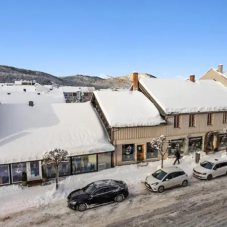 4 Bedroom Penthouse Appartment, Right On The Mainstreet Apartment Kongsberg